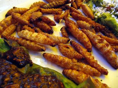 5 Weirdest Mediterranean Snacks